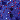 Royal Blue/Fuchsia